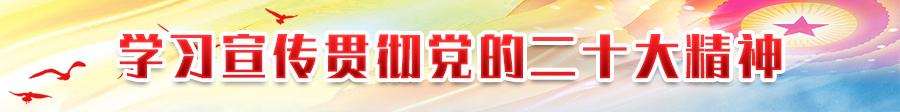 学习宣传贯彻党的二十大精神