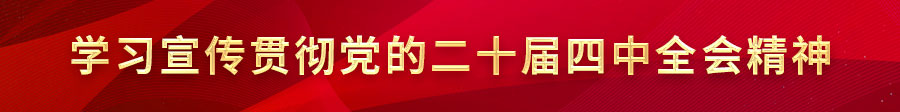 学习宣传贯彻党的二十届四中全会精神